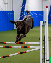 2025-10-12-BANDA-SUN-1582