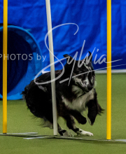 2025-10-12-BANDA-SUN-1585