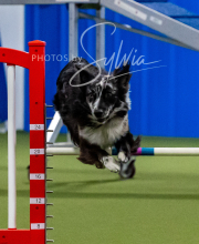 2025-10-12-BANDA-SUN-1586