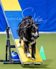 2025-10-12-BANDA-SUN-1588