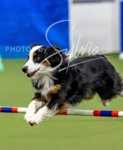 2025-10-12-BANDA-SUN-159