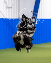 2025-10-12-BANDA-SUN-1592