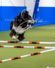 2025-10-12-BANDA-SUN-1594