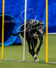 2025-10-12-BANDA-SUN-1596