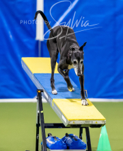 2025-10-12-BANDA-SUN-1603