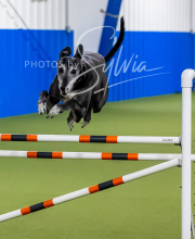 2025-10-12-BANDA-SUN-1607