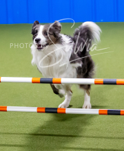 2025-10-12-BANDA-SUN-1615