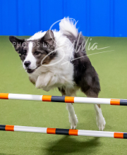 2025-10-12-BANDA-SUN-1616