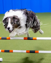 2025-10-12-BANDA-SUN-1617