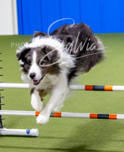 2025-10-12-BANDA-SUN-1618