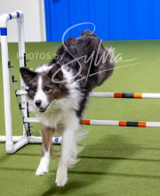 2025-10-12-BANDA-SUN-1619