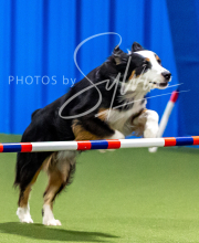 2025-10-12-BANDA-SUN-162