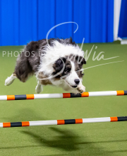 2025-10-12-BANDA-SUN-1620