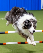 2025-10-12-BANDA-SUN-1621