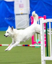 2025-10-12-BANDA-SUN-168