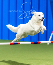 2025-10-12-BANDA-SUN-172