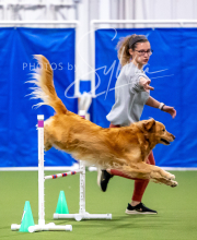 2025-10-12-BANDA-SUN-178