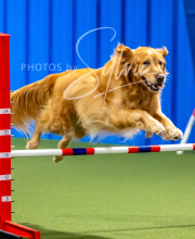 2025-10-12-BANDA-SUN-183