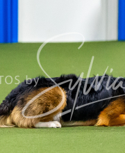 2025-10-12-BANDA-SUN-185