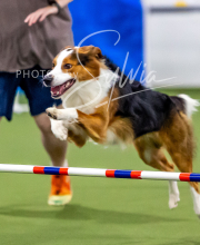 2025-10-12-BANDA-SUN-187