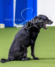 2025-10-12-BANDA-SUN-192