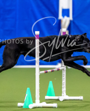 2025-10-12-BANDA-SUN-193