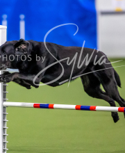 2025-10-12-BANDA-SUN-195