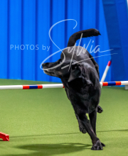 2025-10-12-BANDA-SUN-198