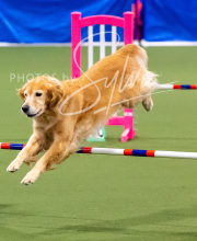 2025-10-12-BANDA-SUN-204