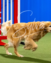 2025-10-12-BANDA-SUN-208