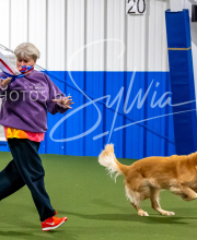 2025-10-12-BANDA-SUN-216