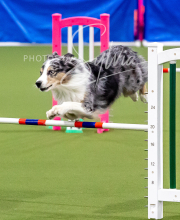 2025-10-12-BANDA-SUN-226