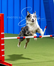 2025-10-12-BANDA-SUN-228