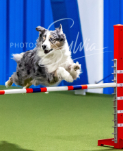 2025-10-12-BANDA-SUN-229