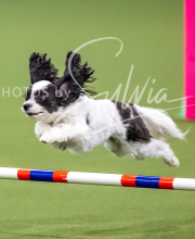 2025-10-12-BANDA-SUN-23