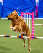 2025-10-12-BANDA-SUN-234