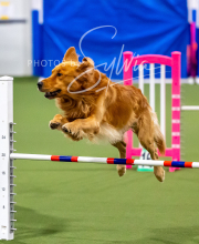 2025-10-12-BANDA-SUN-235