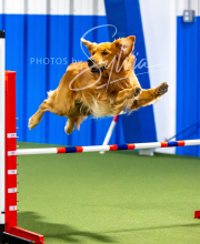 2025-10-12-BANDA-SUN-237