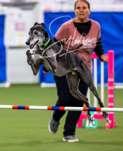 2025-10-12-BANDA-SUN-240