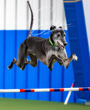 2025-10-12-BANDA-SUN-244