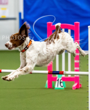 2025-10-12-BANDA-SUN-247