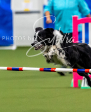 2025-10-12-BANDA-SUN-252