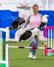 2025-10-12-BANDA-SUN-264