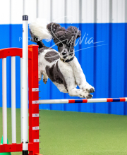 2025-10-12-BANDA-SUN-266