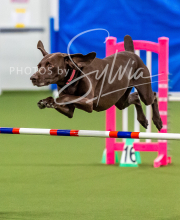 2025-10-12-BANDA-SUN-269