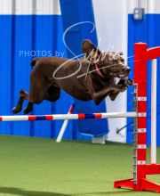 2025-10-12-BANDA-SUN-272