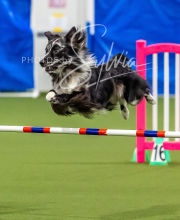 2025-10-12-BANDA-SUN-275