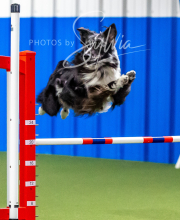 2025-10-12-BANDA-SUN-277