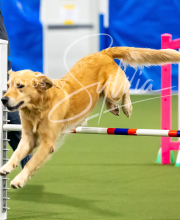 2025-10-12-BANDA-SUN-280