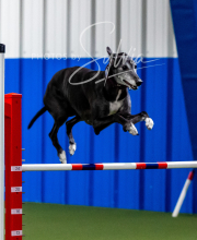 2025-10-12-BANDA-SUN-290